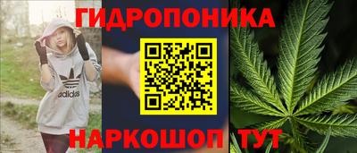 стаф Комсомольск-на-Амуре