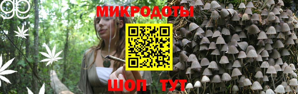 Котлас  Псилоцибиновые грибы Psilocybe  Вход с VPN 
