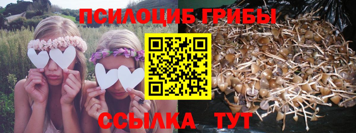 МАРИХУАНА  КОКАИН  Вход с VPN  Котлас  А ПВП СК   Гашиш  Меф кристаллы 