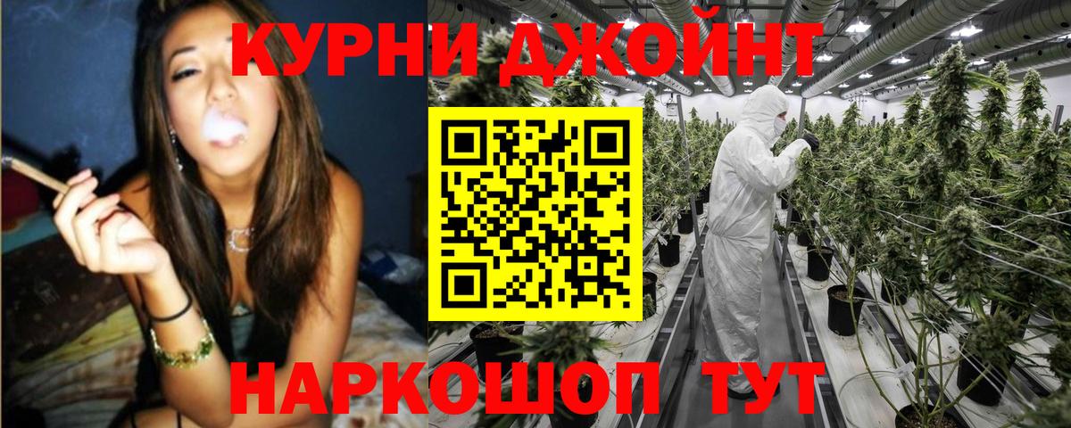 Конопля планчик  Марихуана планчик  Марихуана White Widow  Каннабис Bruce Banner  Вход с VPN  Котлас 